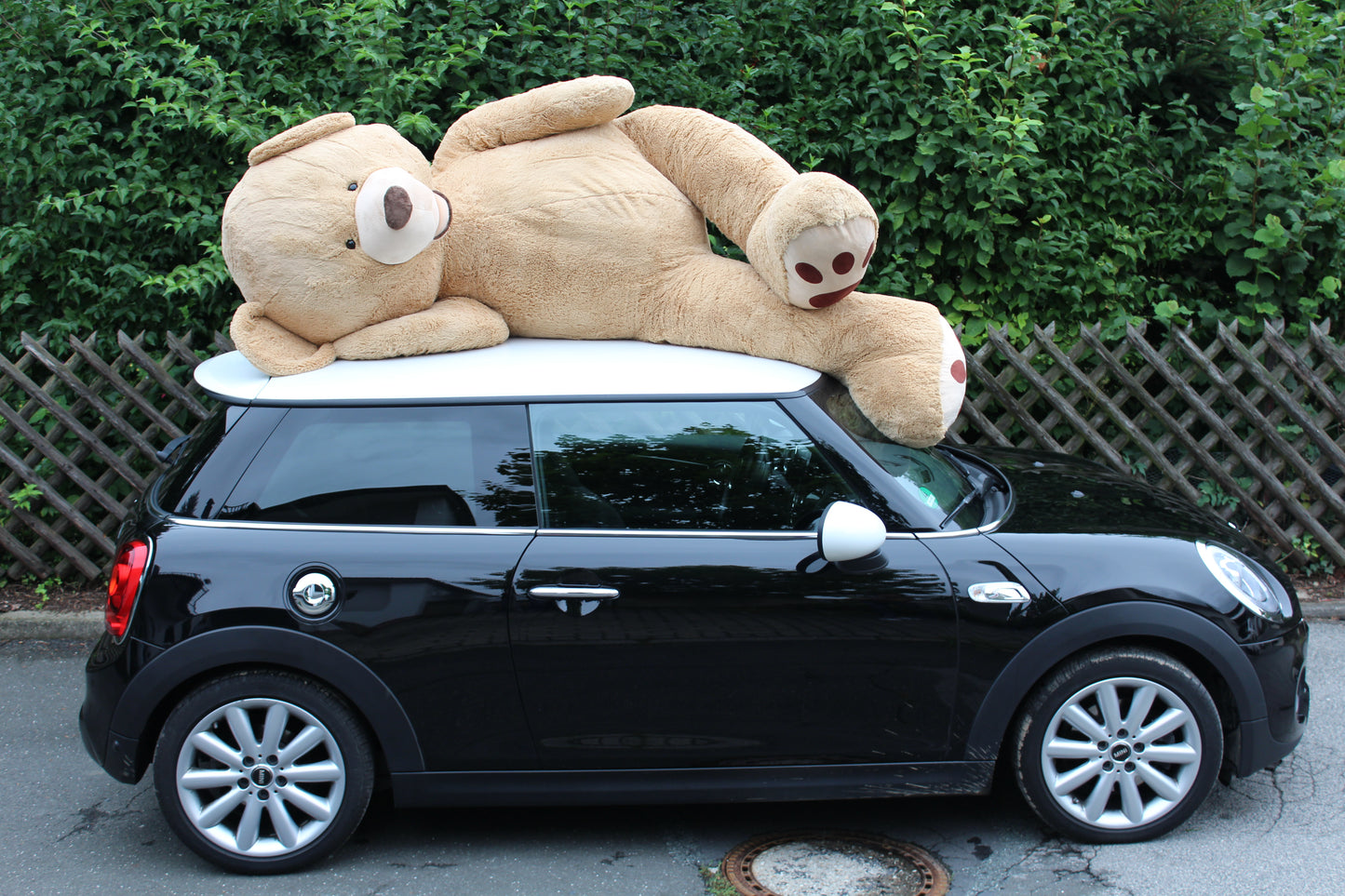sweety toys 8018 teddy plüschtier riesenbär 240 cm xxl giant teddy bär kuscheltier